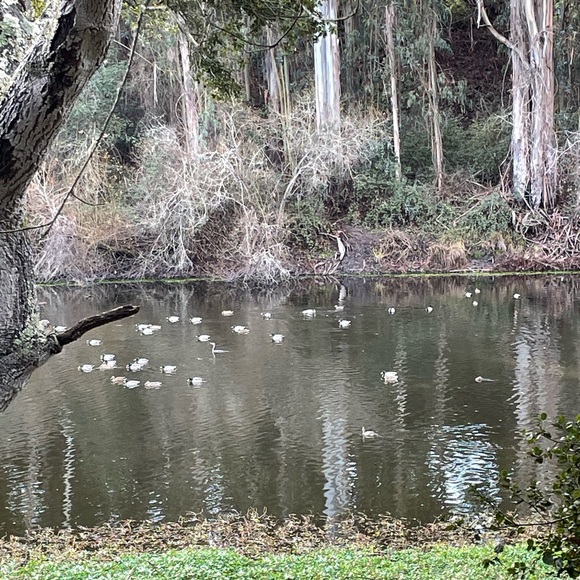 Meet your Posher, Josielynn - Picture 9 of 10